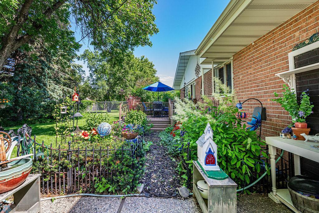 Backyard Landscaping