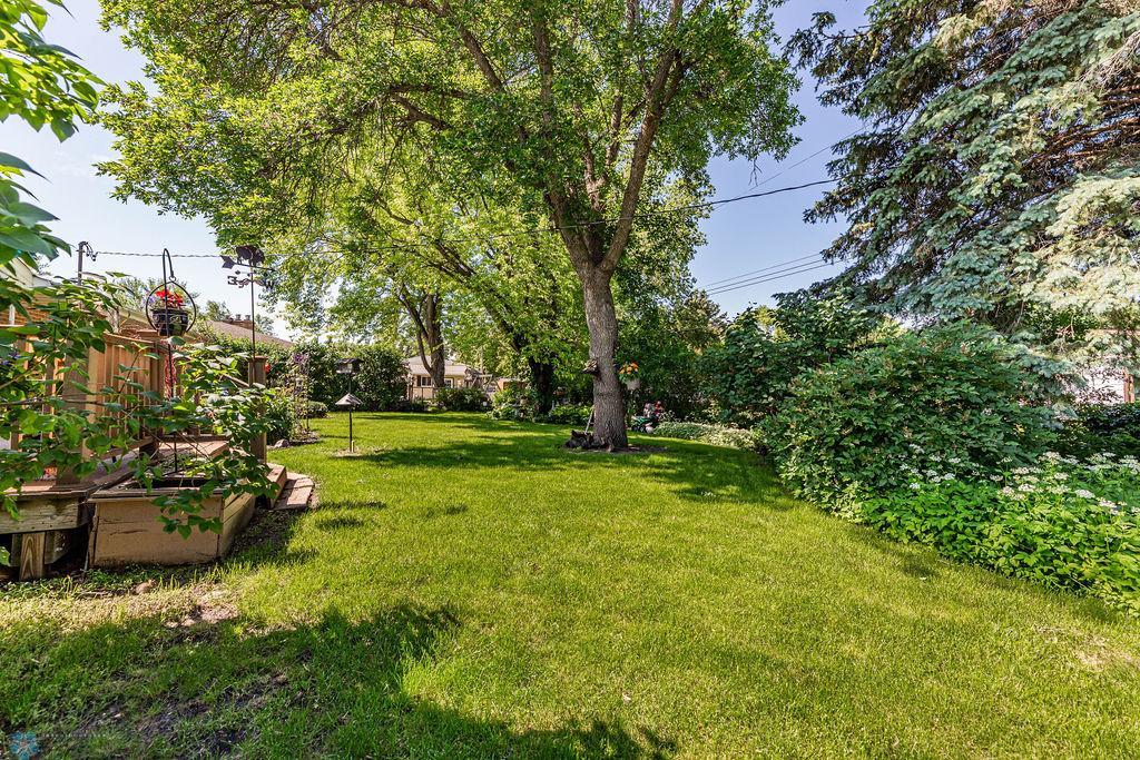 Treed Backyard