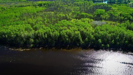 Lot 10 - TBD Driftwood Lane NW, Baudette, MN 56623