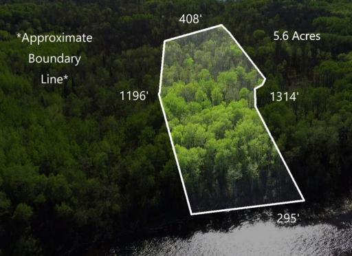 Lot 11 - TBD Driftwood Lane NW, Baudette, MN 56623