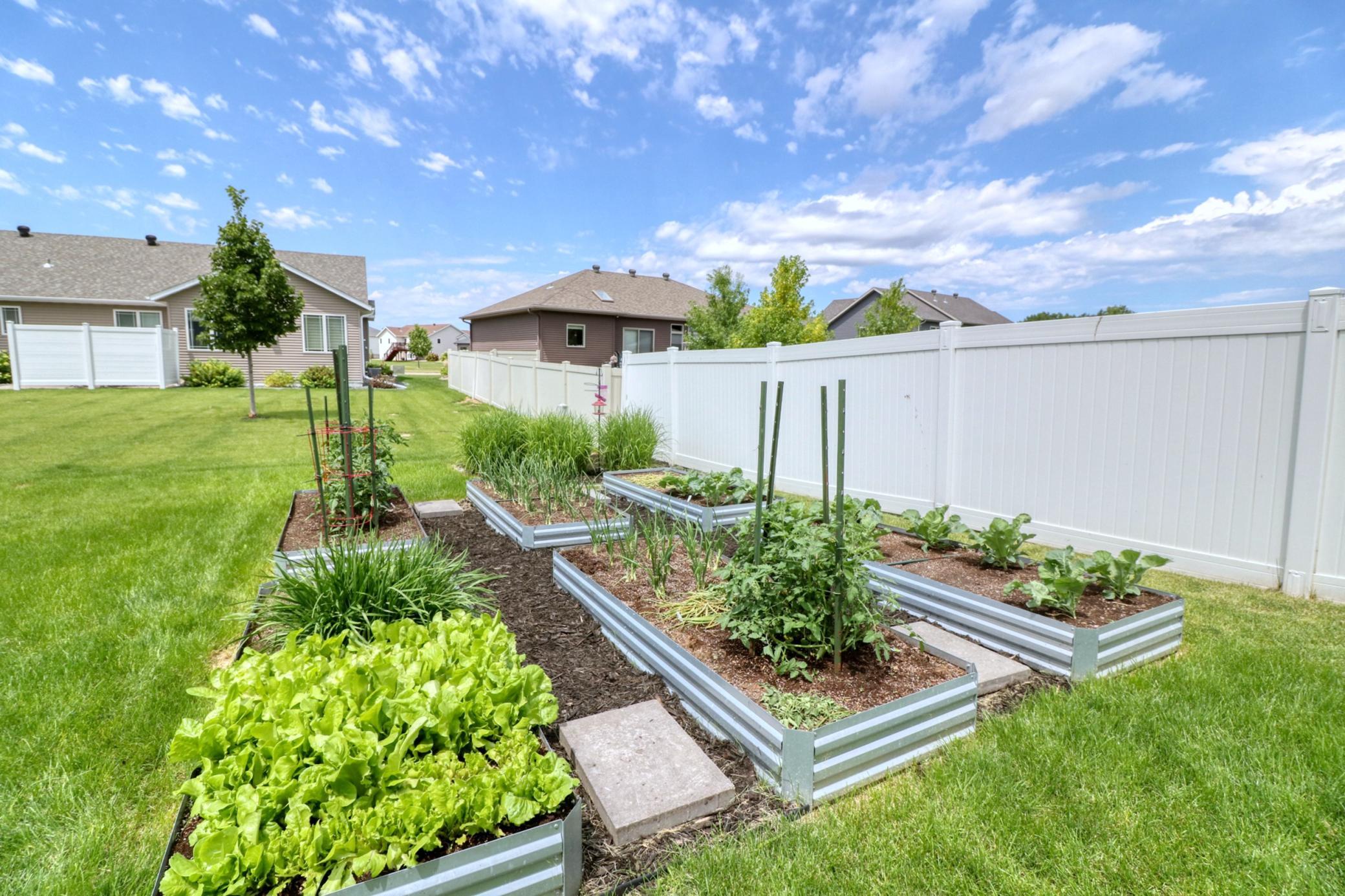 Backyard raised garden area