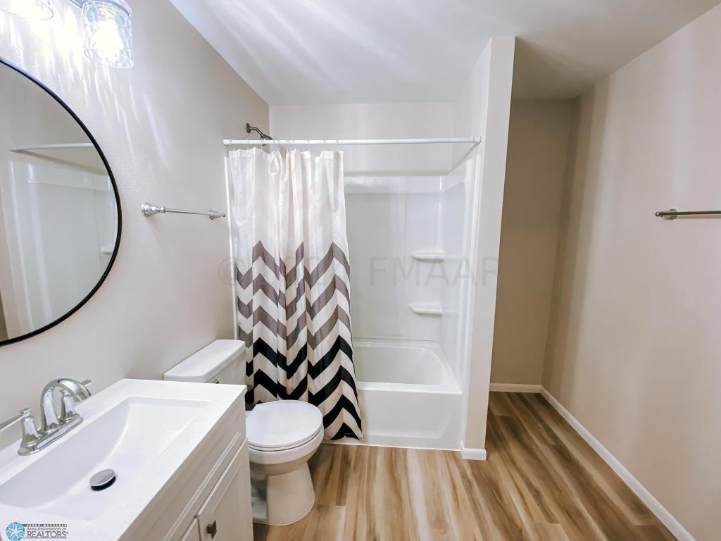 Bathroom- Basement.jpeg