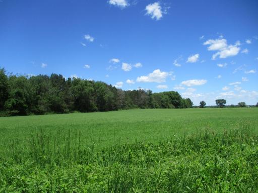 6822 Oneka Lake Blvd N, Hugo, MN 55038