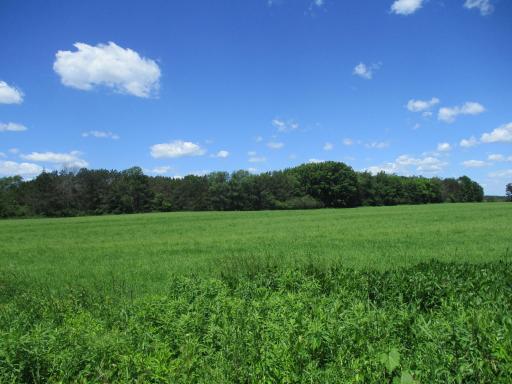 6822 Oneka Lake Blvd N, Hugo, MN 55038