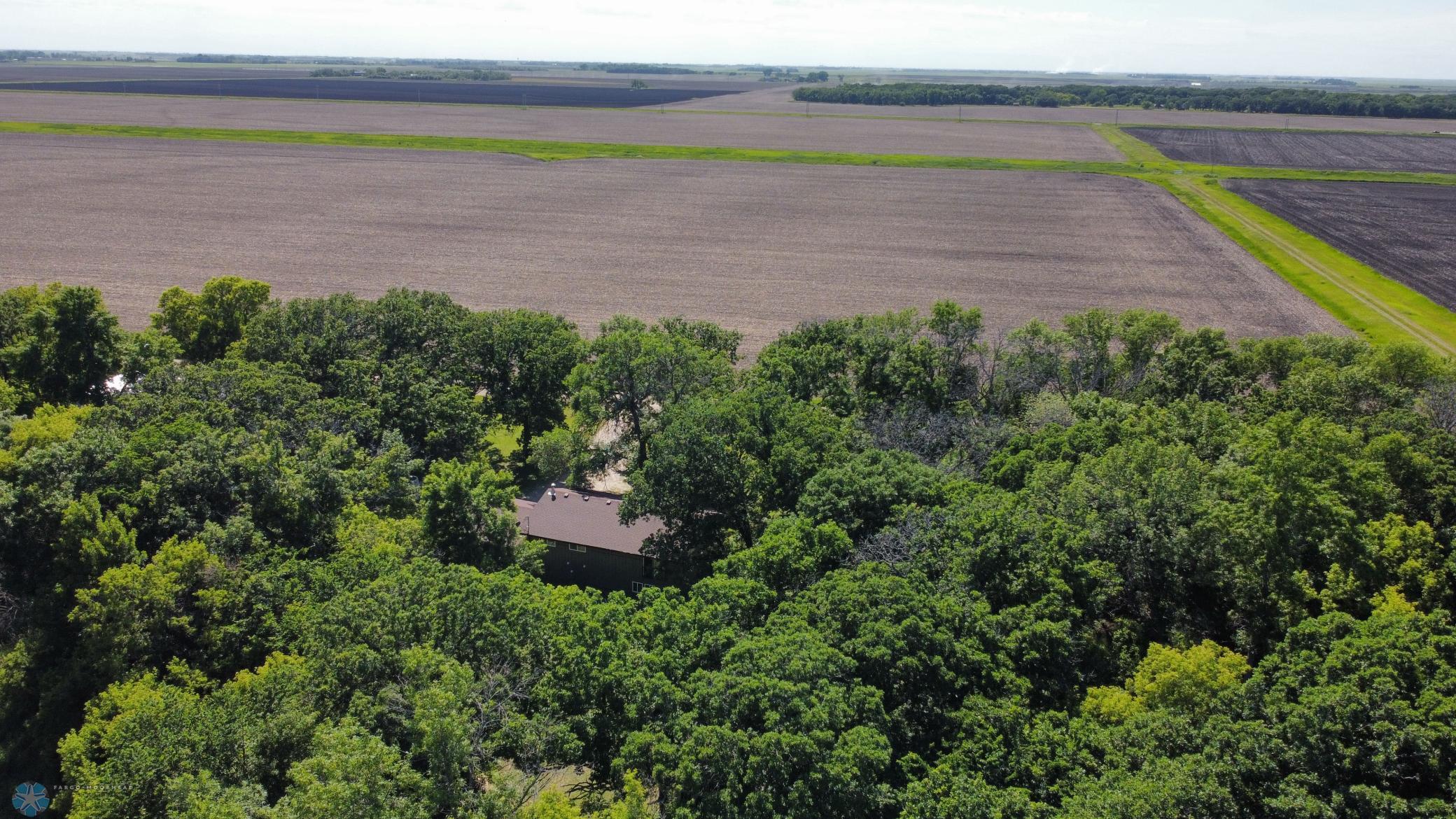 dji_fly_20240614_162232_566_1718400160147_photo_optimized.jpeg