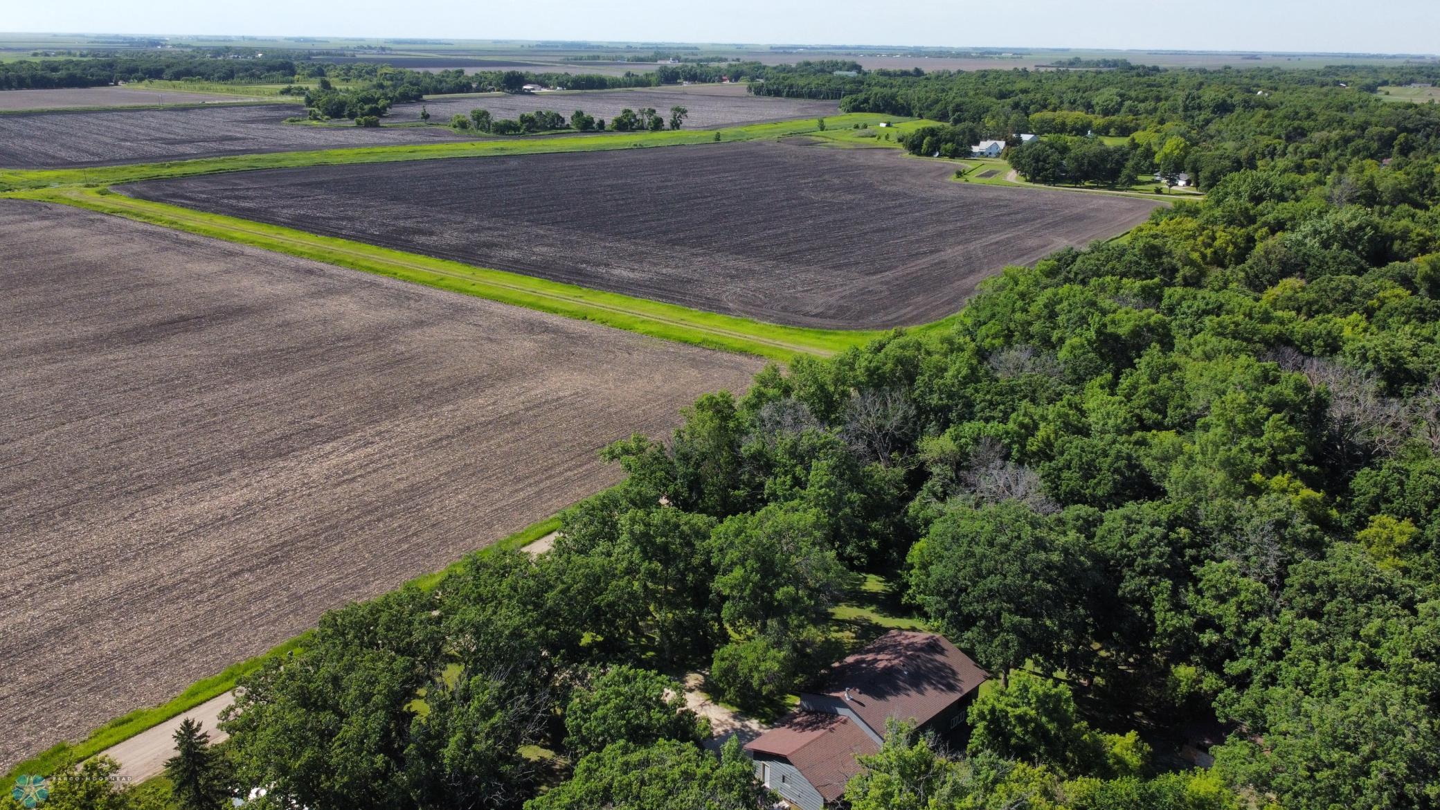 dji_fly_20240614_170442_616_1718402689871_photo_optimized.jpeg