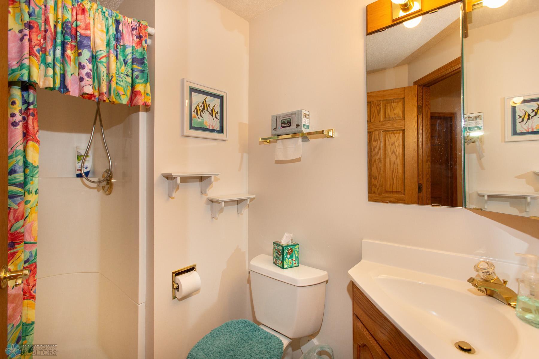 Basement Bathroom