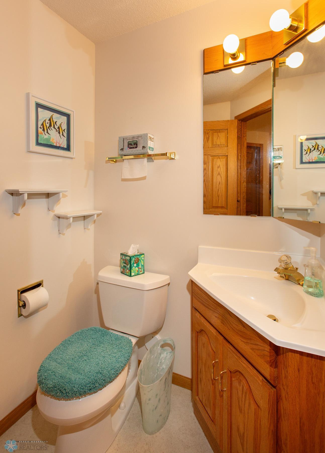 Basement Bathroom w/Shower