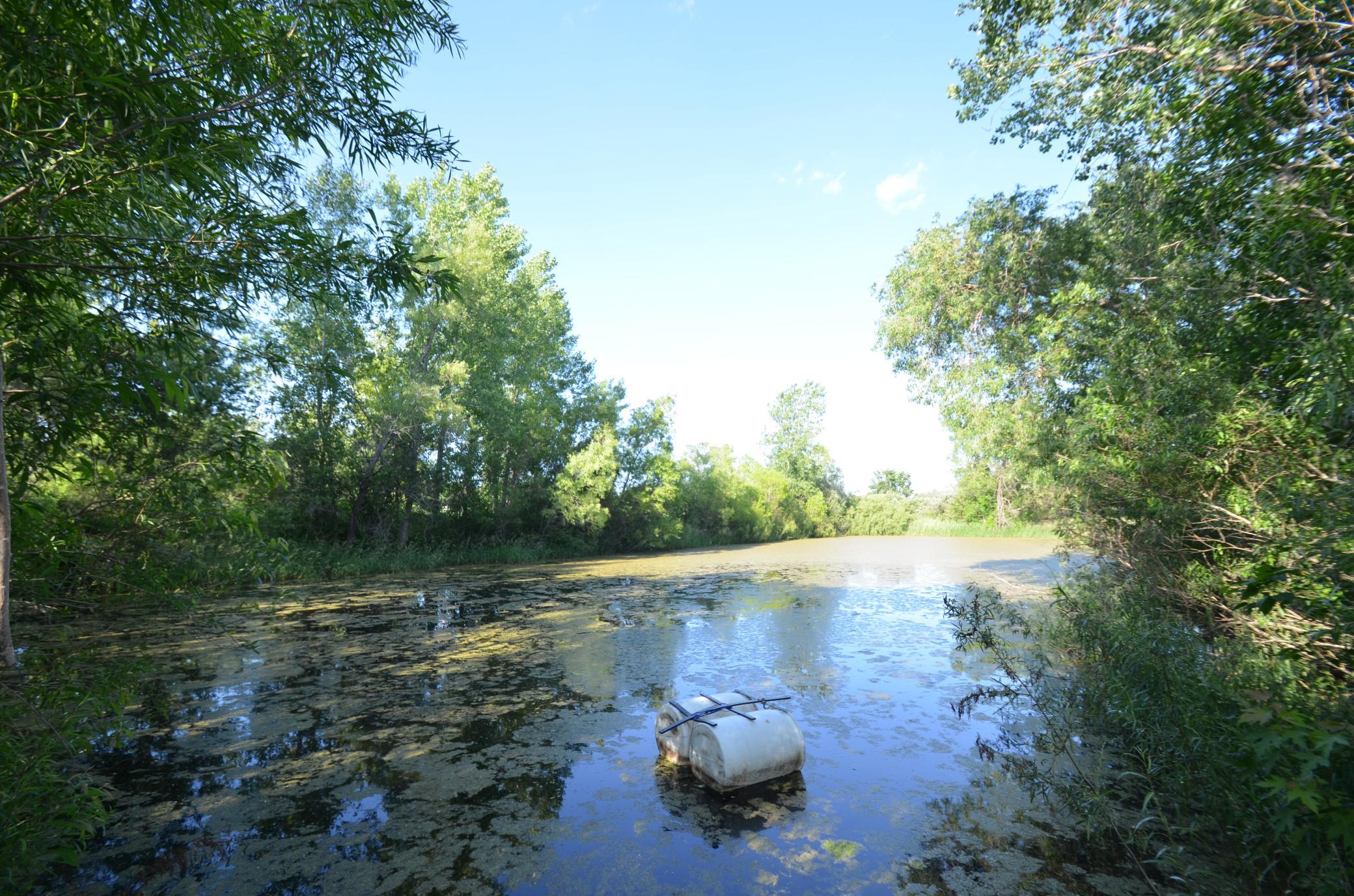 DSC_2513.JPG