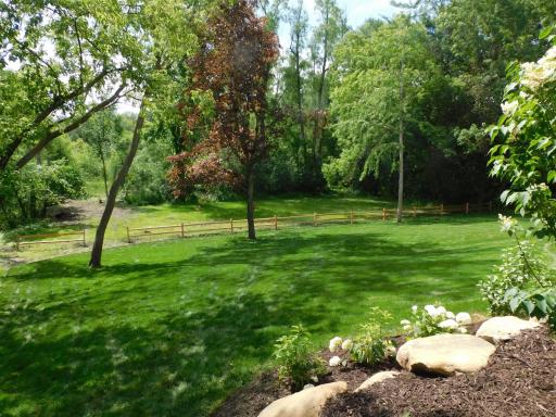 The backyard with long views of the marsh and forest