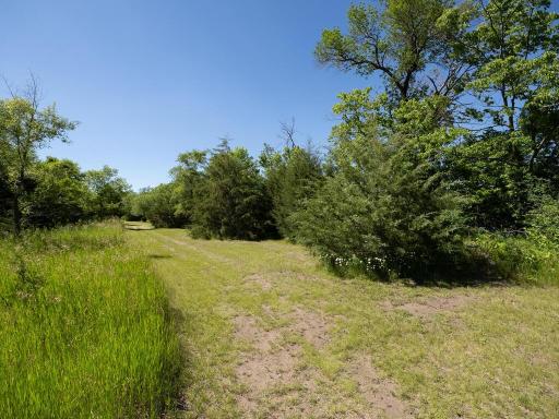 11480 Stoneridge Cir Dayton MN 55327 USA-041-078-Back Yard-MLS_Size.jpg