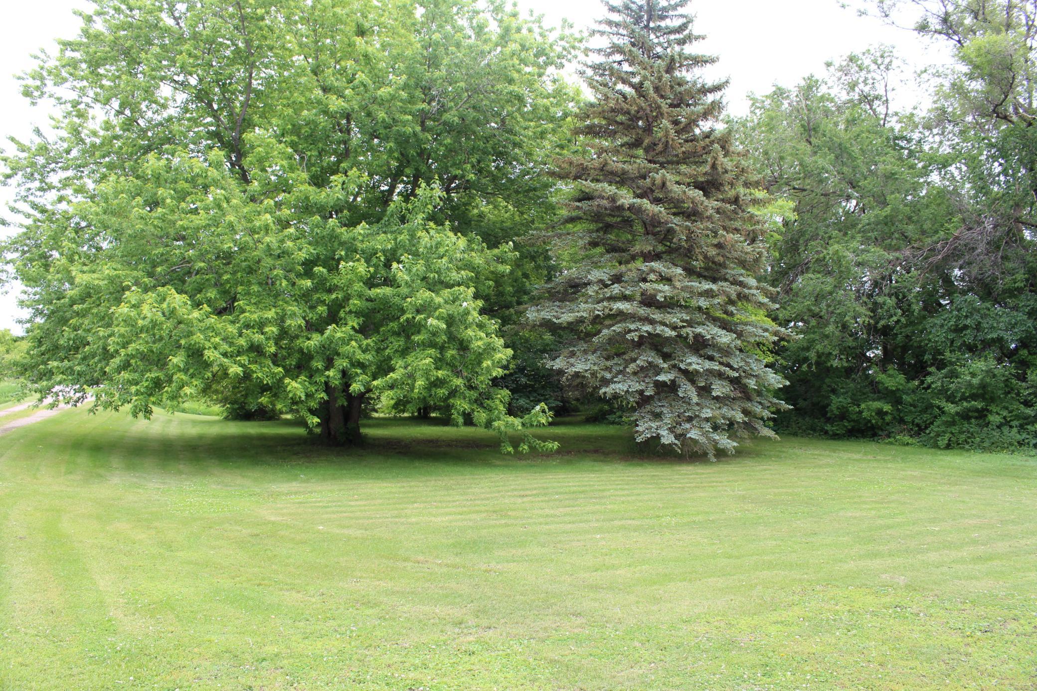 03 Front yard.JPG