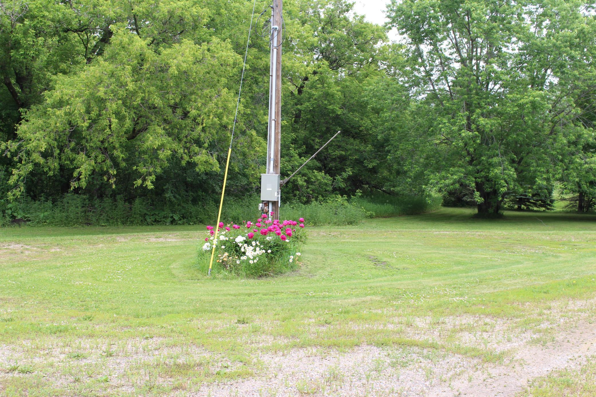 04 Front yard.JPG