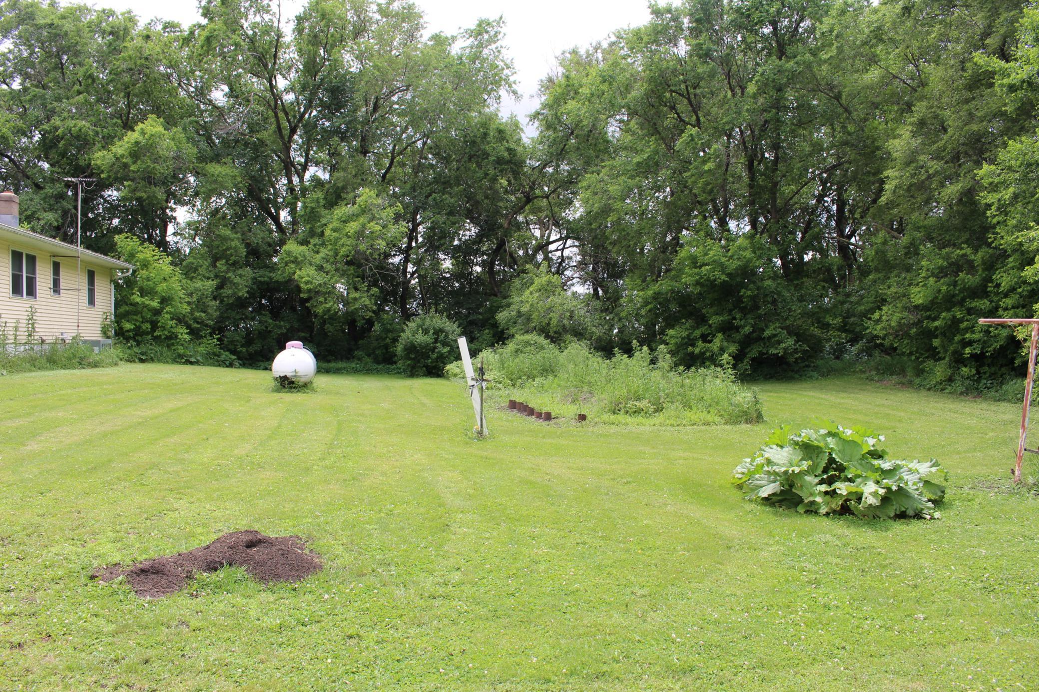 07 Backyard.JPG