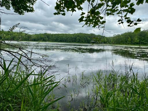 TBD Red Stone Drive, Cushing, MN 56443