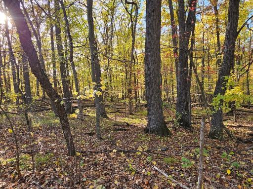 Build your dream home in the hills of Collegeville Twp!