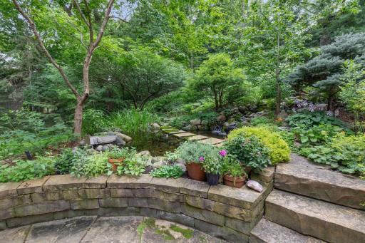 The garden and yard are non-toxic and have been chemical-free for 12 years.