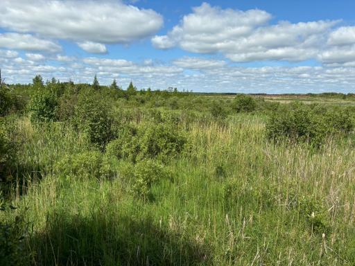 TBD County Road 7, Bagley, MN 56621