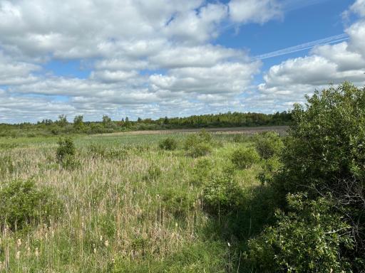 TBD County Road 7, Bagley, MN 56621