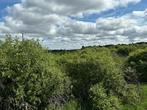 TBD County Road 7, Bagley, MN 56621