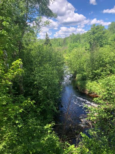 xxx Eagle Road, Floodwood, MN 55765