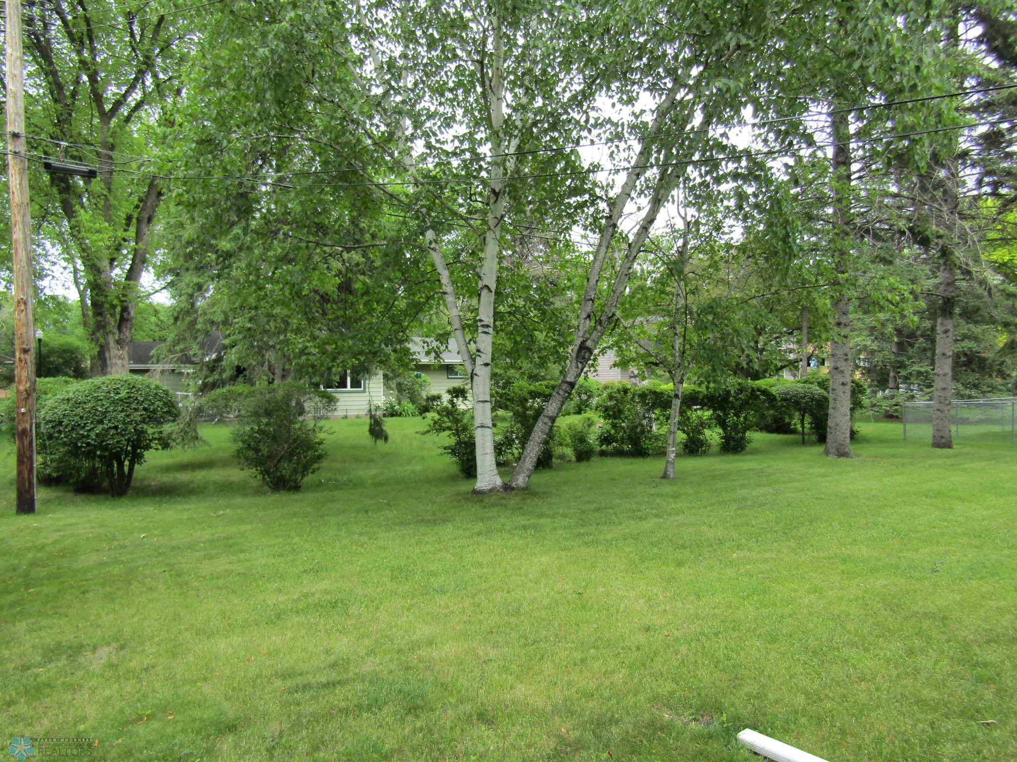 IMG_4207.JPG