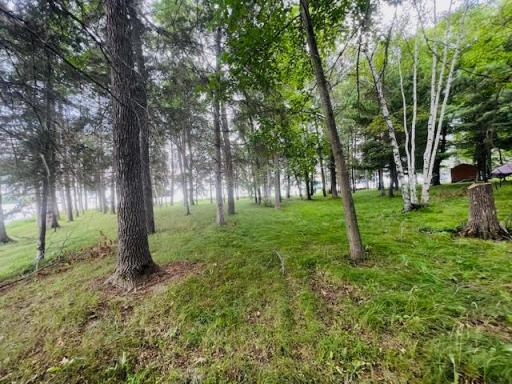 TBD Rock Point Drive, Walker, MN 56484