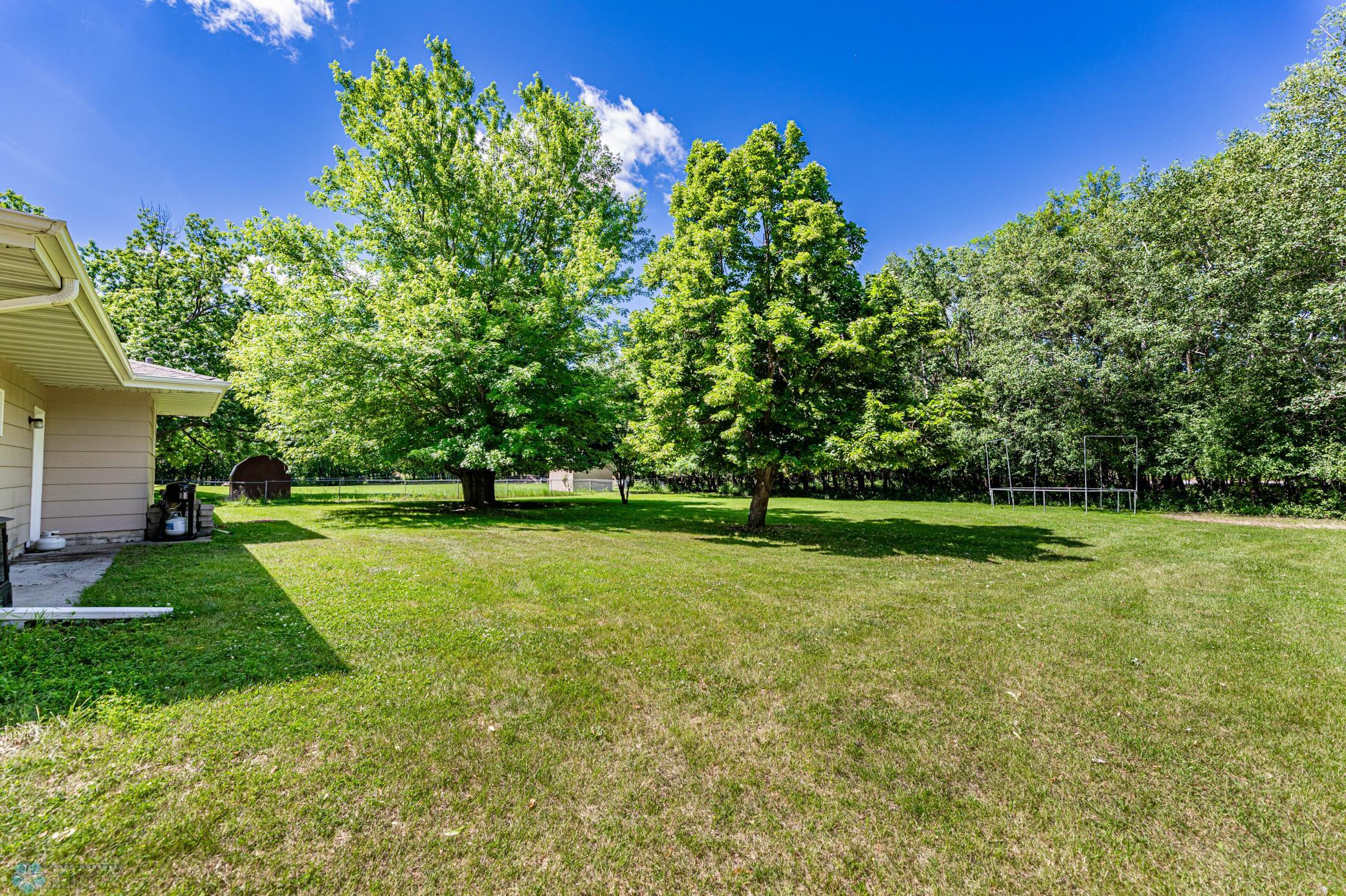 Beautiful Backyard