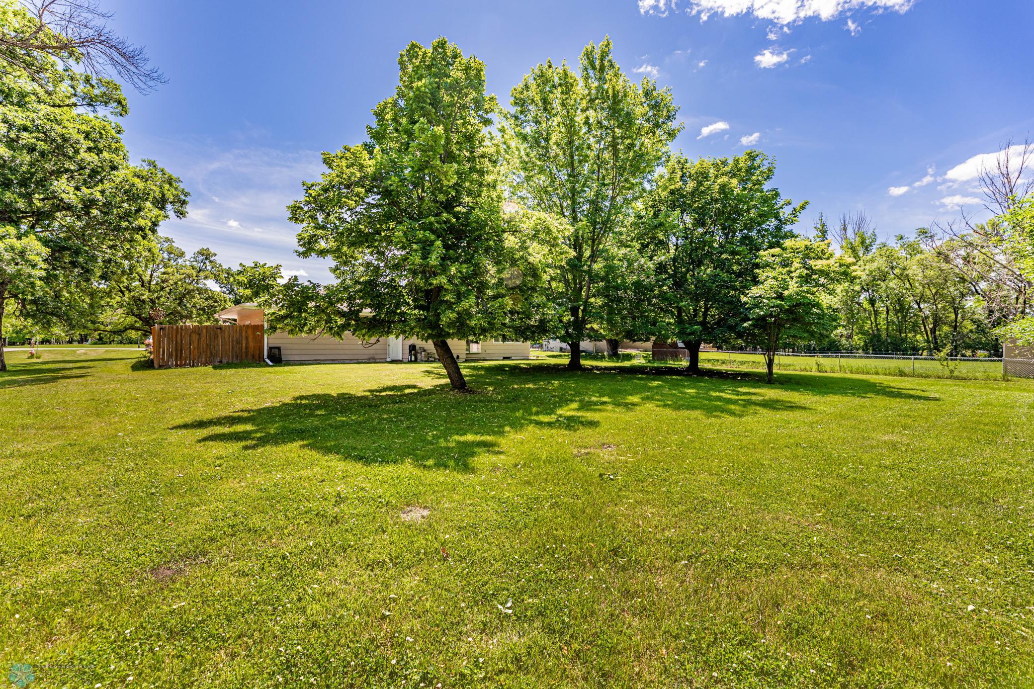 Beautiful Backyard