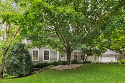 3615 James Avenue, Wayzata, MN 55391