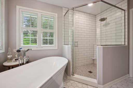 Primary bath (toilet in separate room to the left - not in photo)