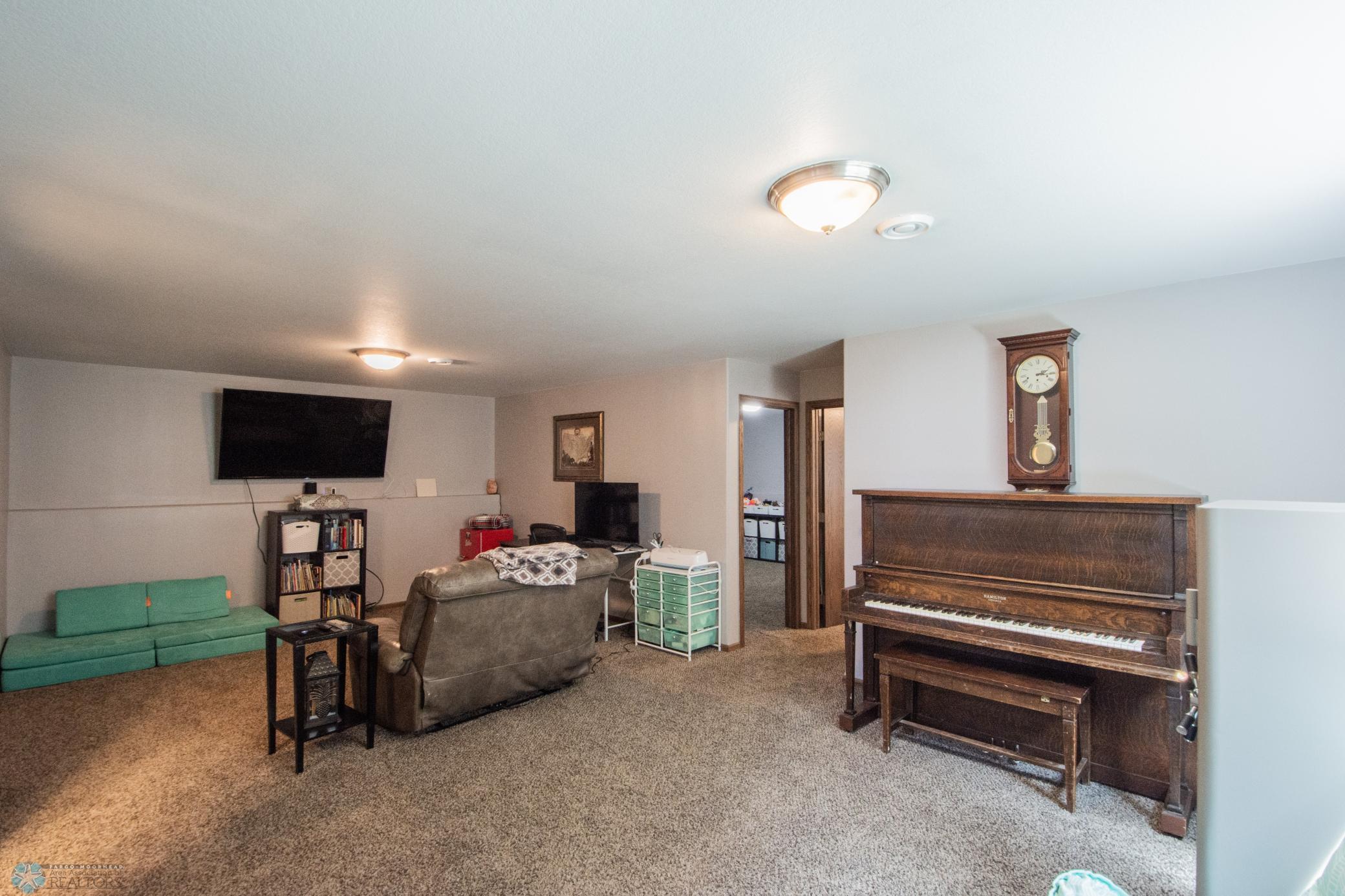 21 Lower Level Living Space