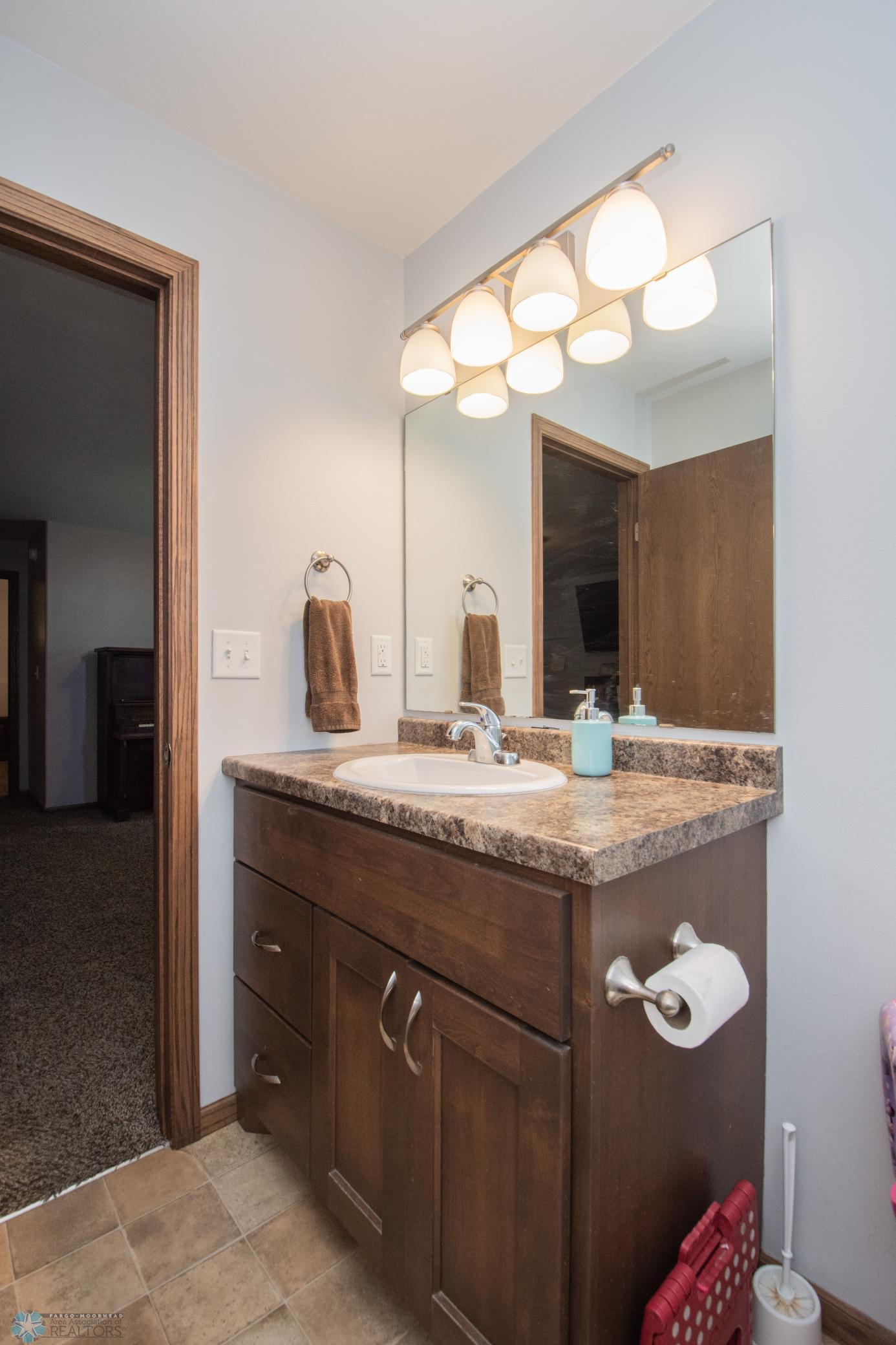 Lower Level Bathroom