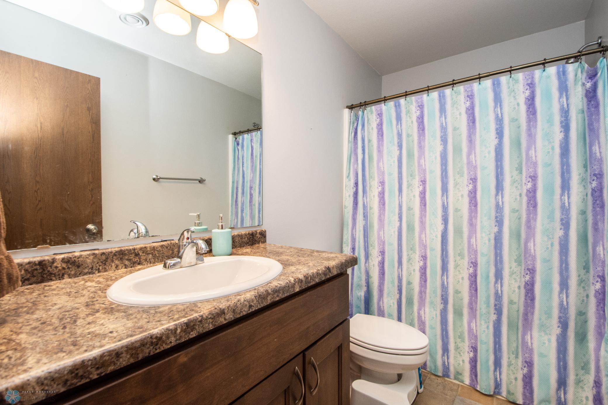 Lower Level Bathroom