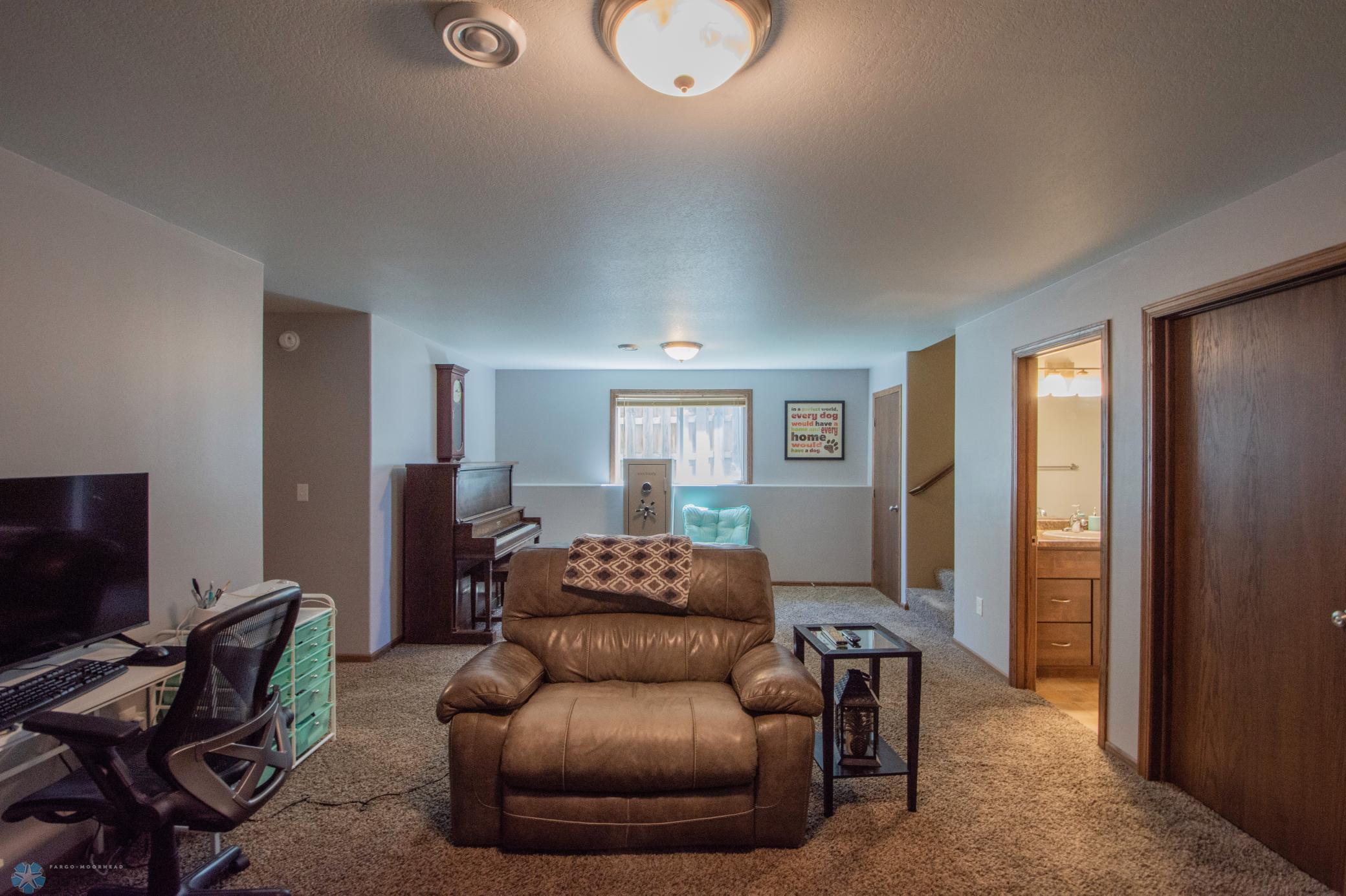 21 Lower Level Living Space