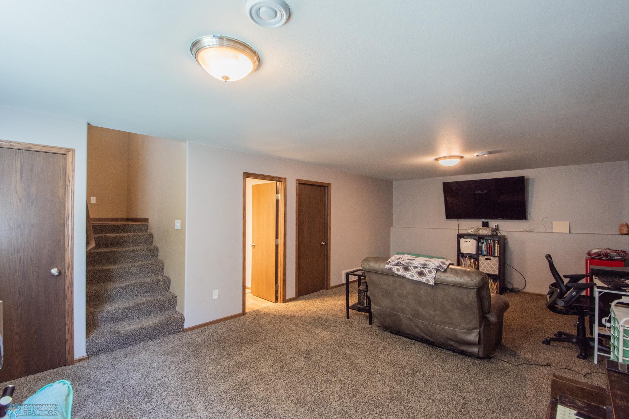 Lower Level Living Space