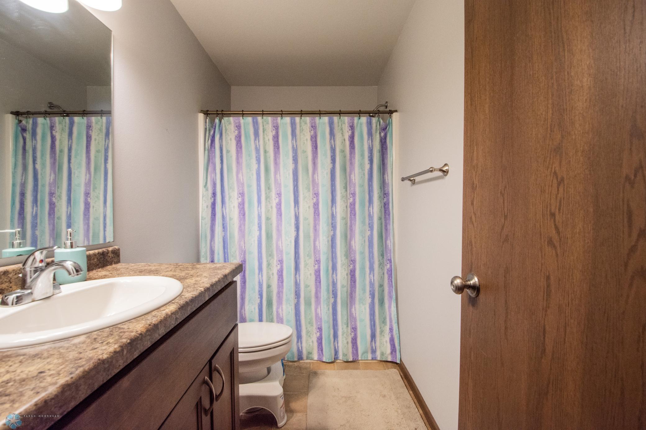 Lower Level Bathroom