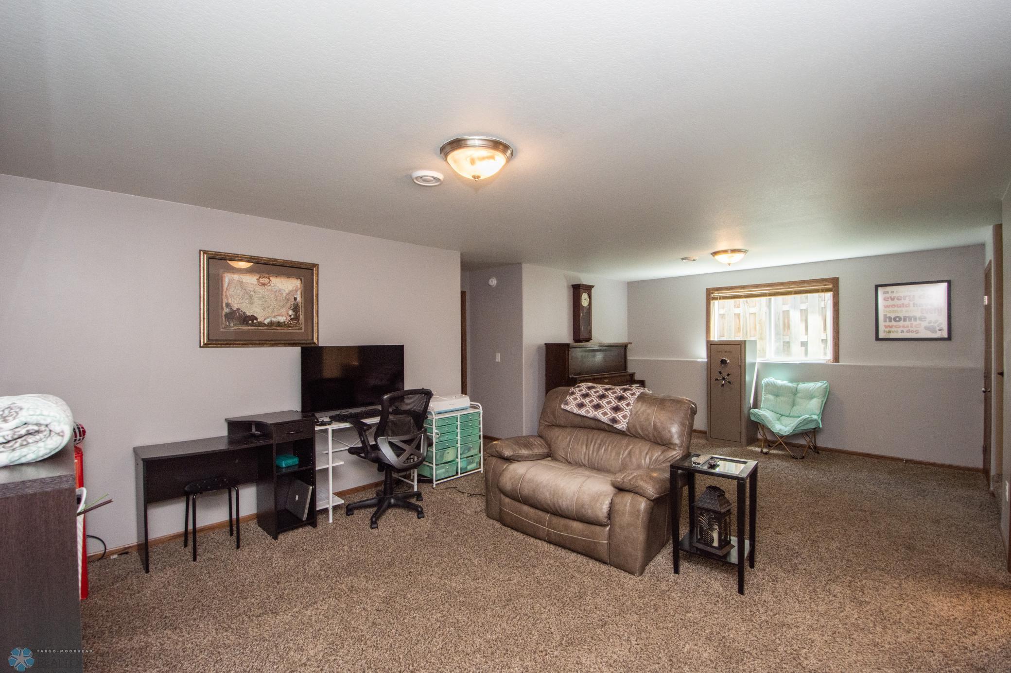 21 Lower Level Living Space