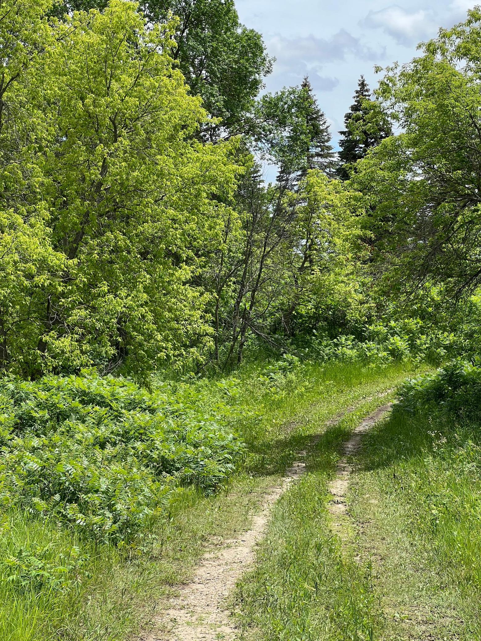 IMG_7144.JPG