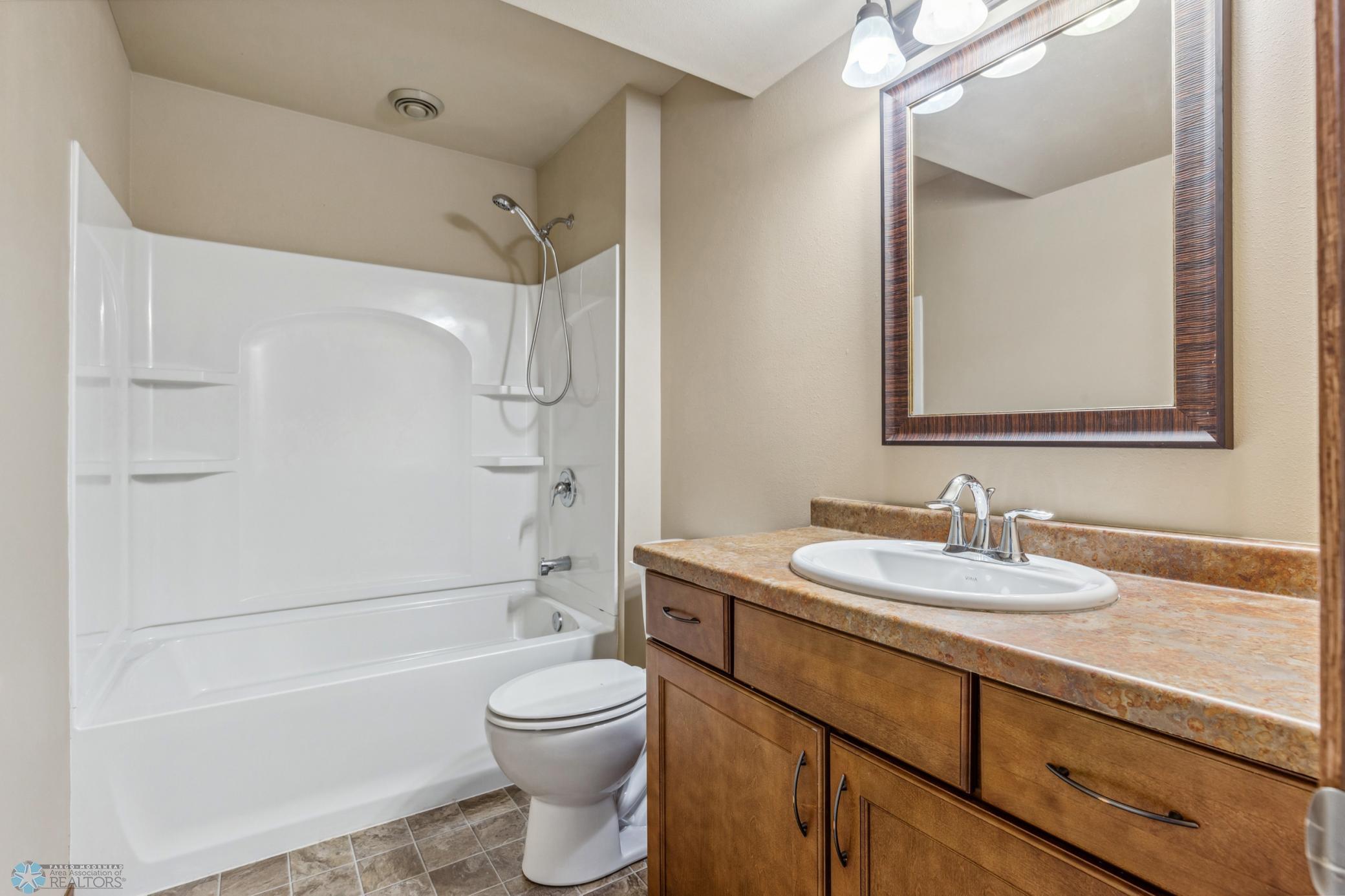 Lower Level Bathroom