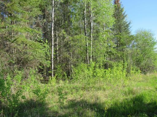 TBD Cloverdale Road, Nashwauk, MN 55769