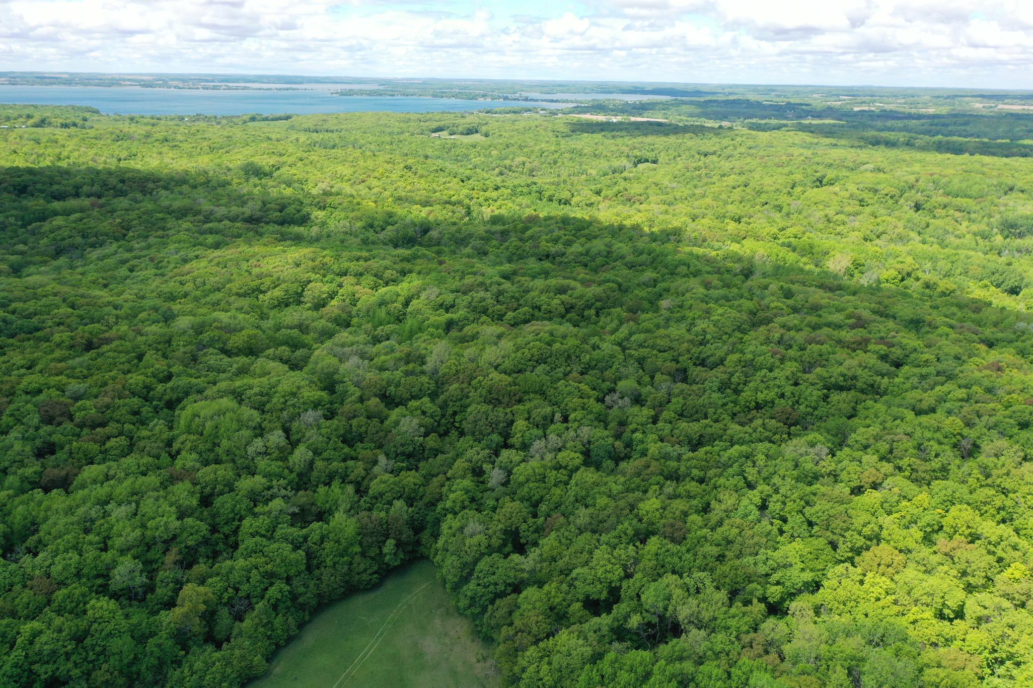 Copy of DJI_0949.JPG