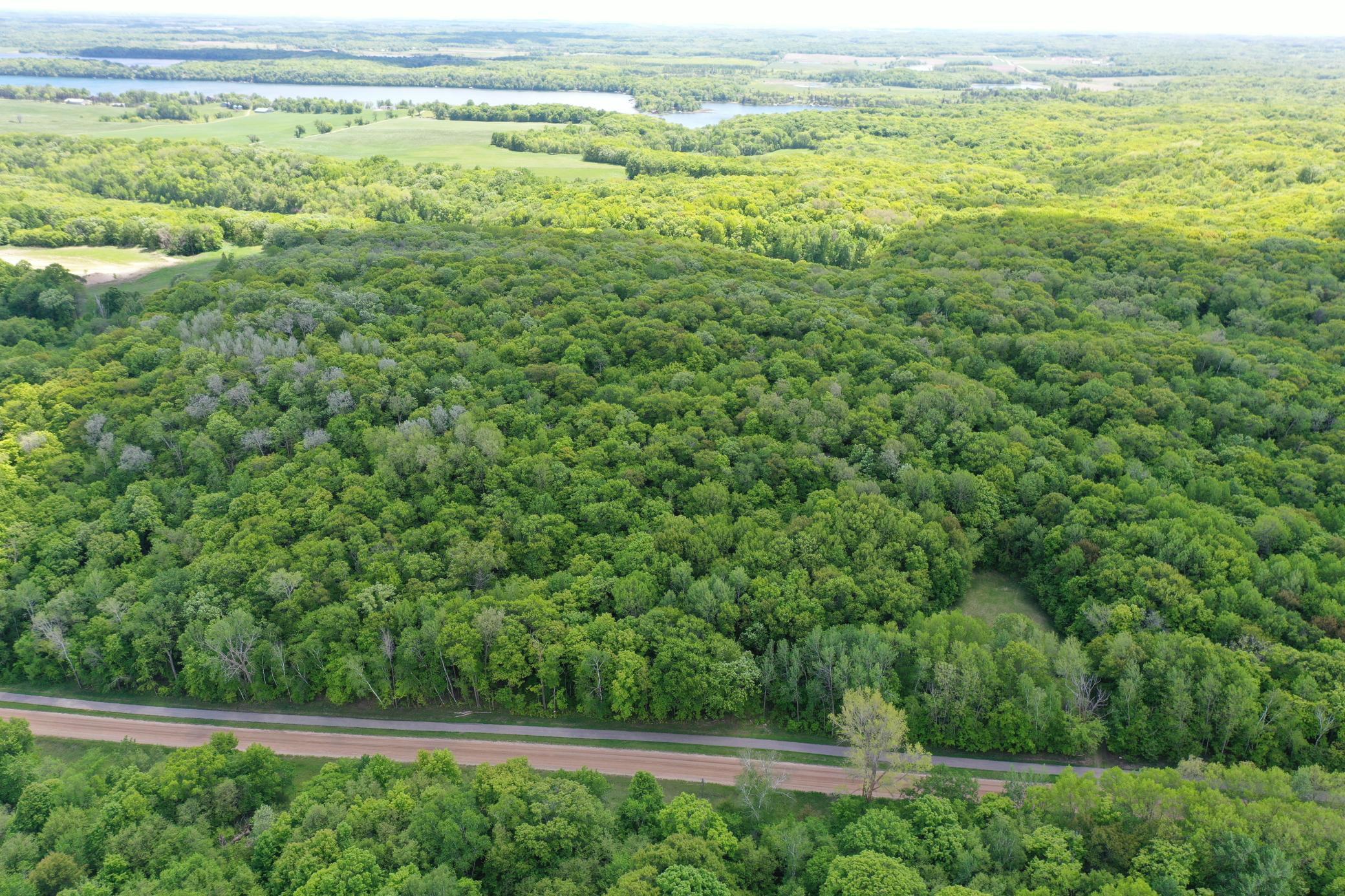 Copy of DJI_0944.JPG