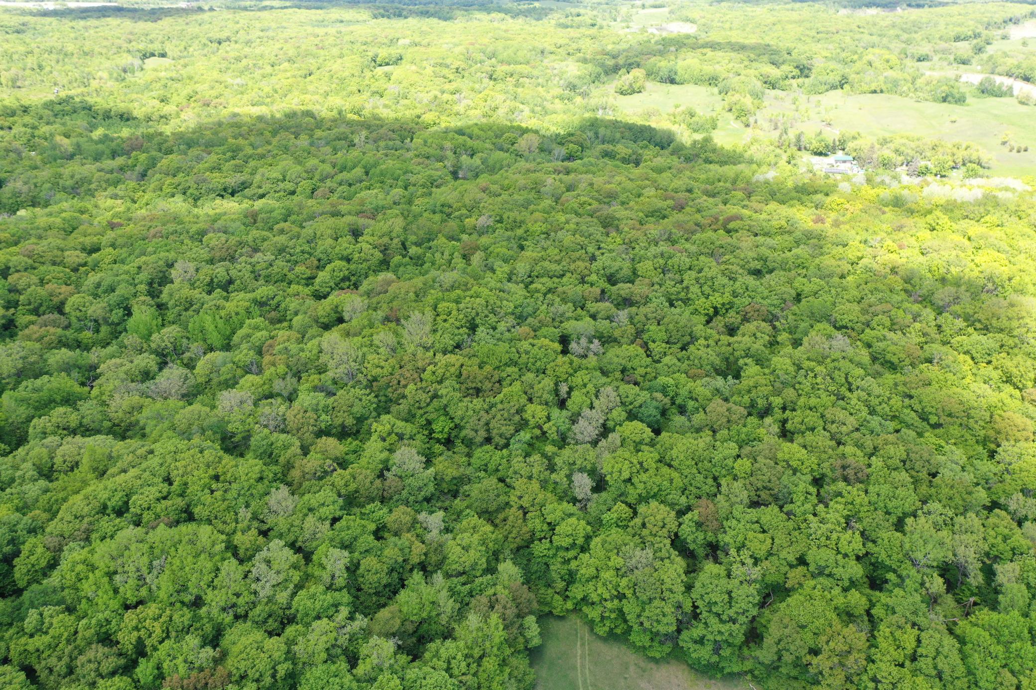 Copy of DJI_0948.JPG