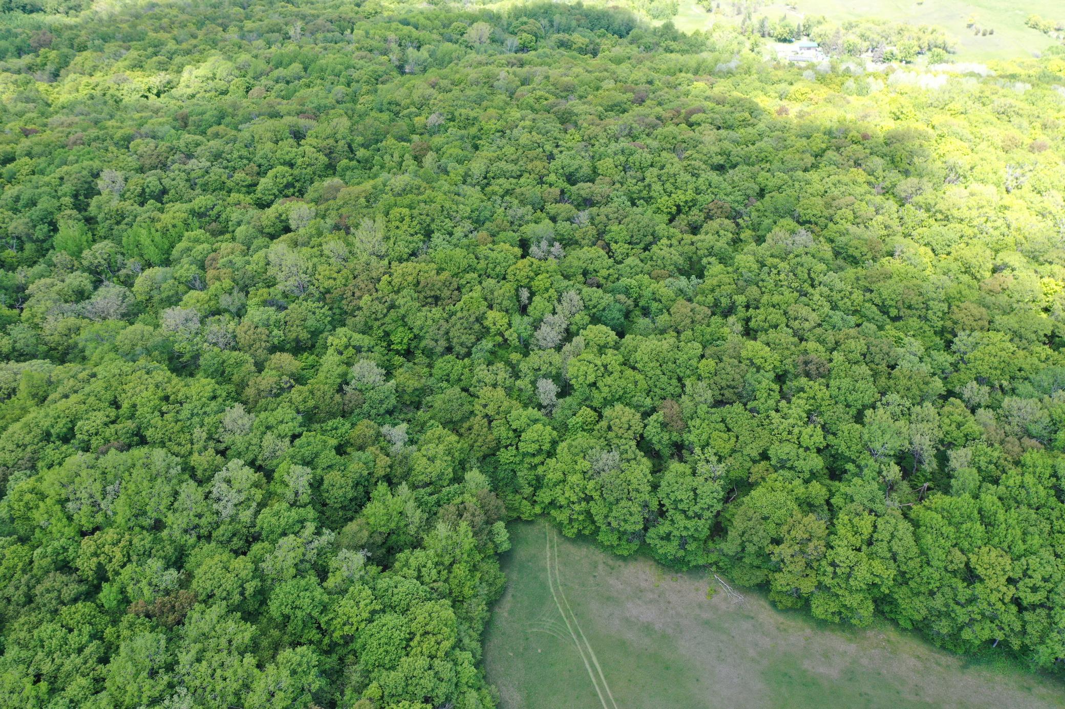 Copy of DJI_0947.JPG