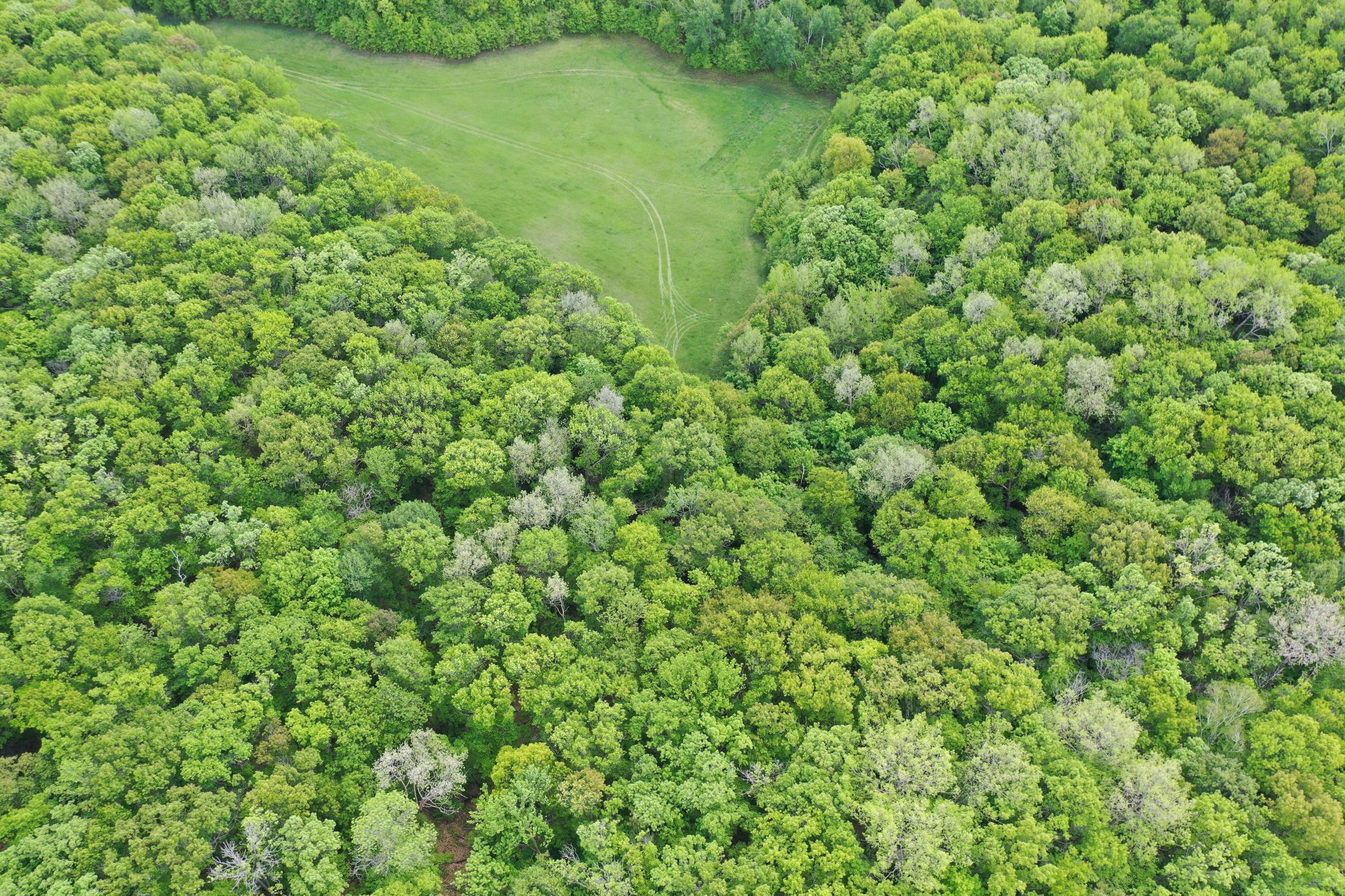 Copy of DJI_0946.JPG