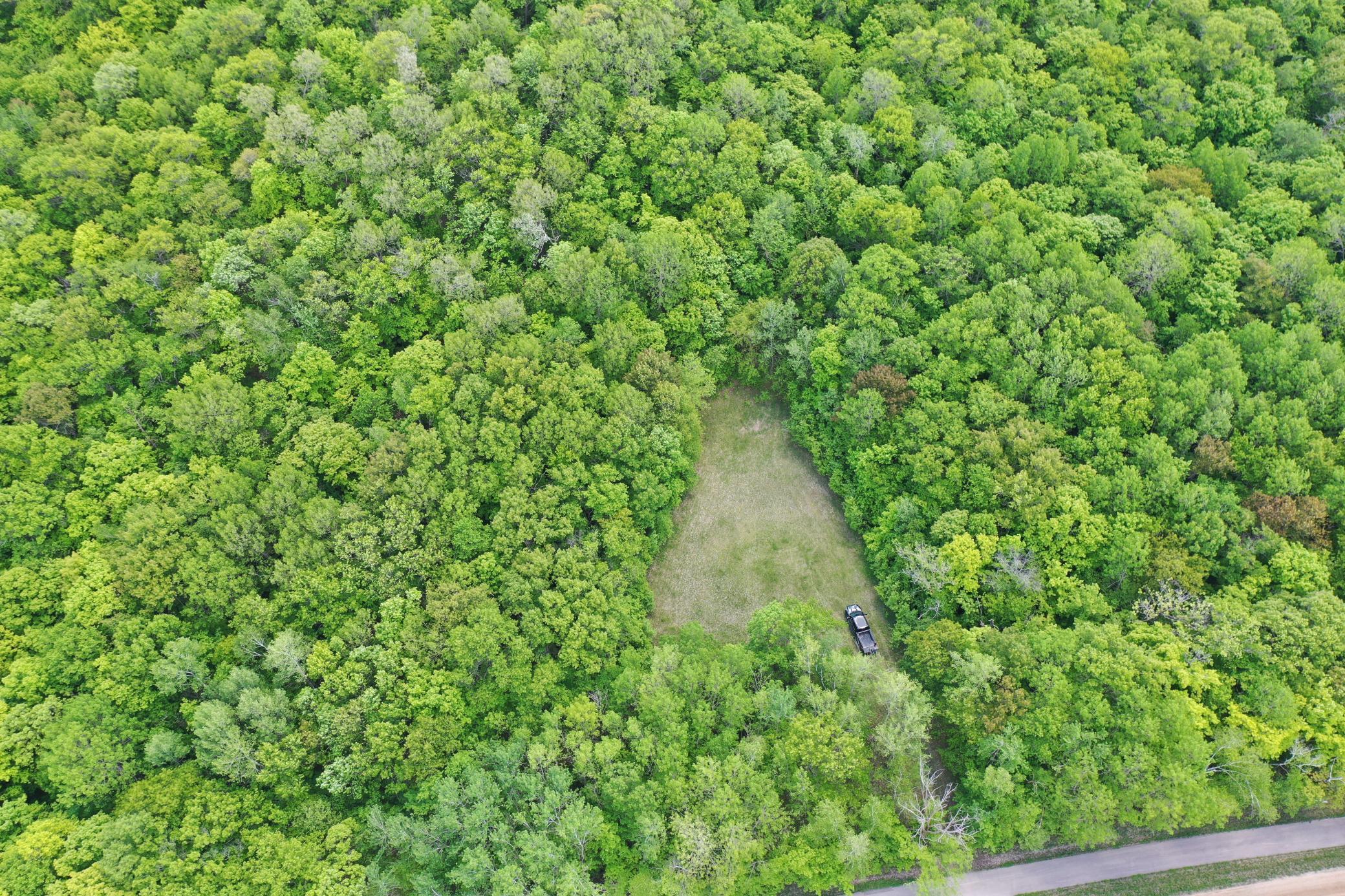 Copy of DJI_0945.JPG