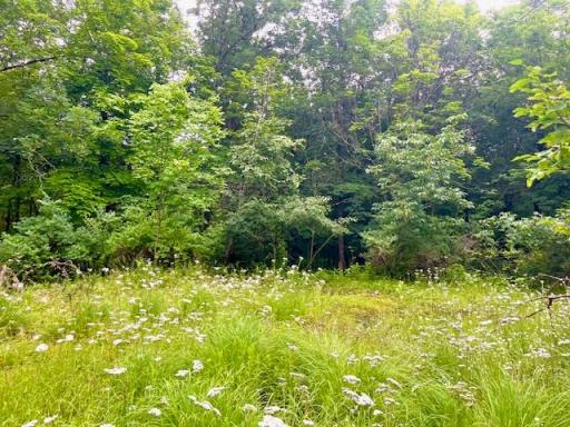 8xx E Louisiana Street, Saint Croix Falls, WI 54024
