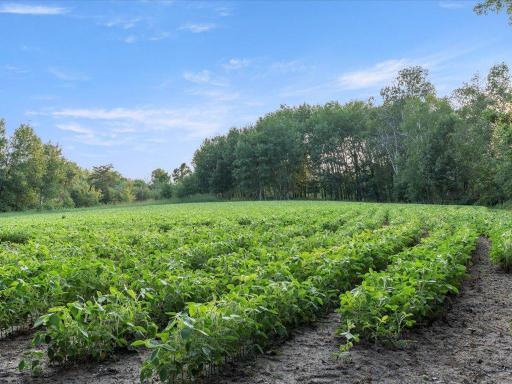 3132 State 210 SW, Pillager, MN 56473