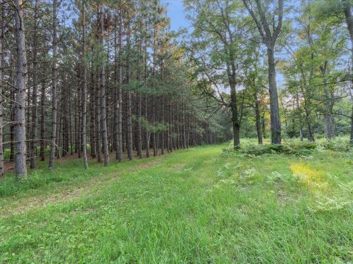 3132 State 210 SW, Pillager, MN 56473